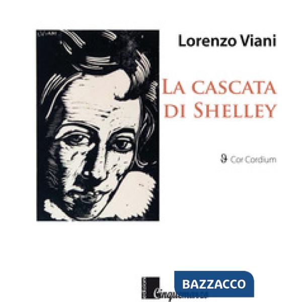 Cascata di Shelley (La)