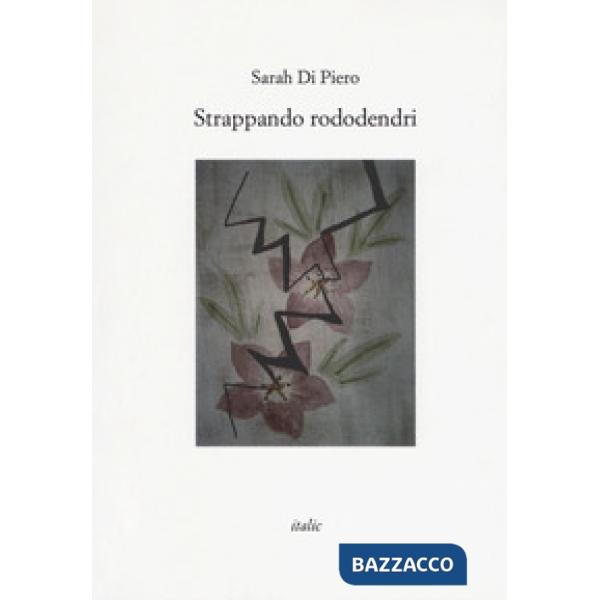 Strappando rododendri