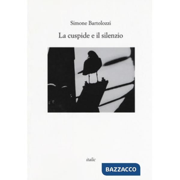 Cuspide e il silenzio (La)