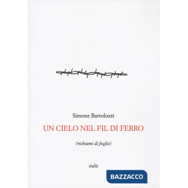Cielo nel fil di ferro (richiami di foglie) (Un)