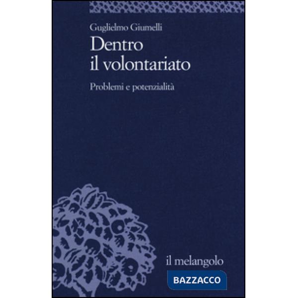 Dentro il volontariato. Problemi e potenzialità