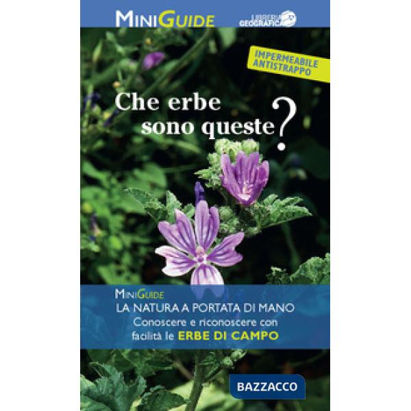 Che erbe sono queste?