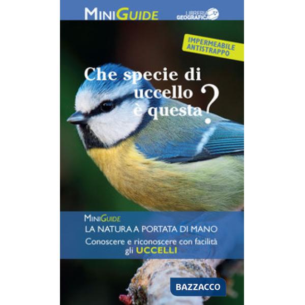 Che specie di uccello è questa?