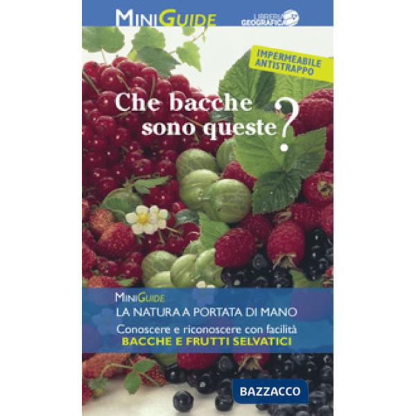 Che bacche sono queste?