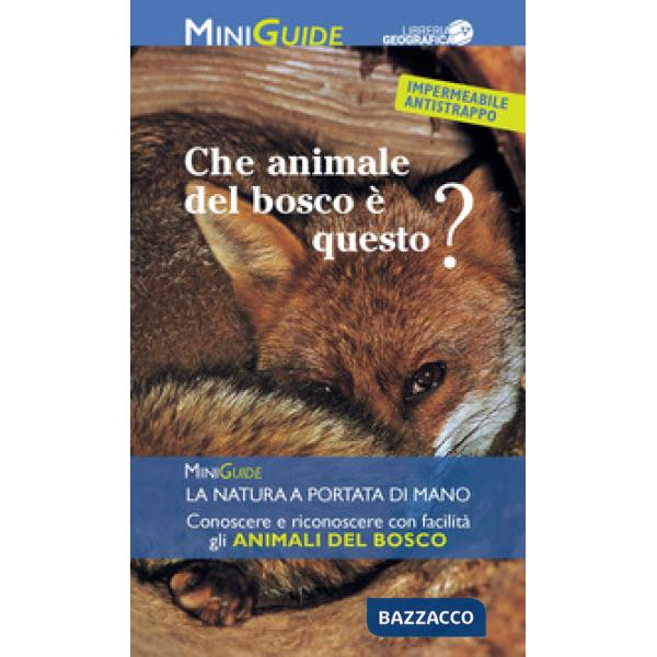 Che animale del bosco è questo?