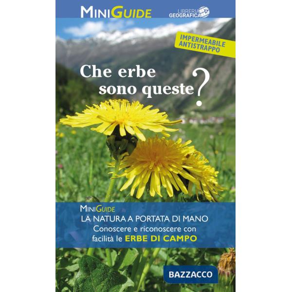 Che erbe sono queste?