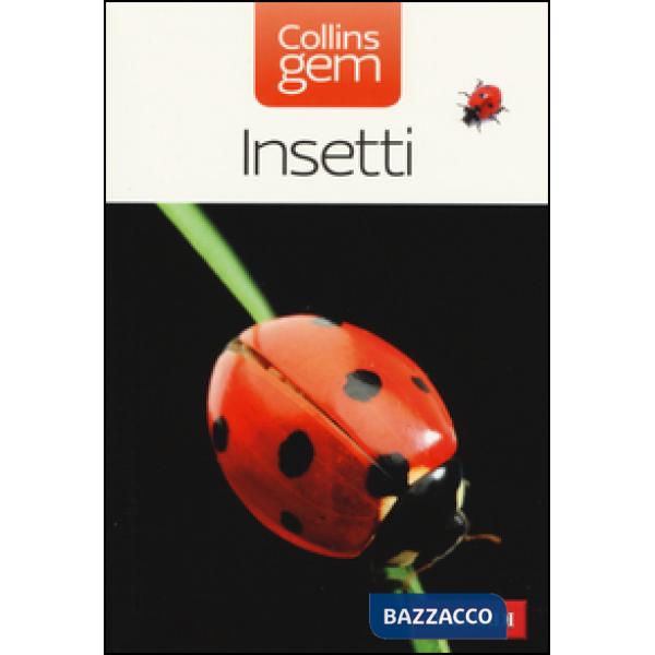 Insetti