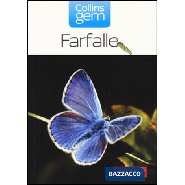 Farfalle