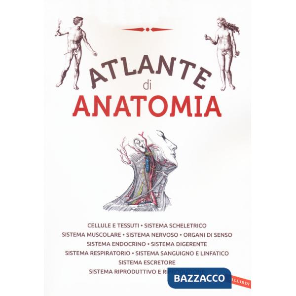 Atlante di anatomia. Ediz. a colori