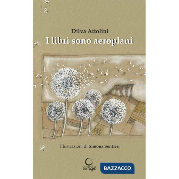 Libri sono aeroplani. Ediz. illustrata (I)