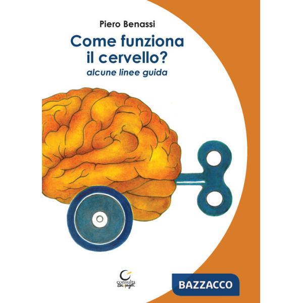 Come funziona il cervello? Alcune linee guida