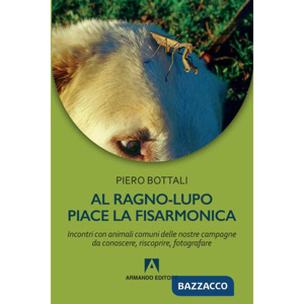 Al ragno-lupo piace la fisarmonica. Incontri con animali comuni delle nostre campagne da conoscere, riscoprire, fotografare