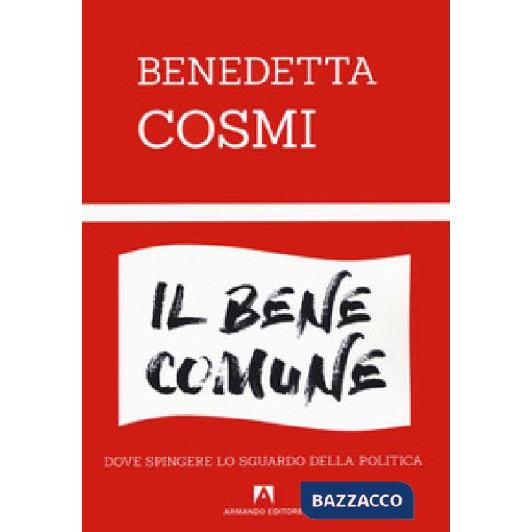 Bene comune. Dove spingere lo sguardo della politica (Il)