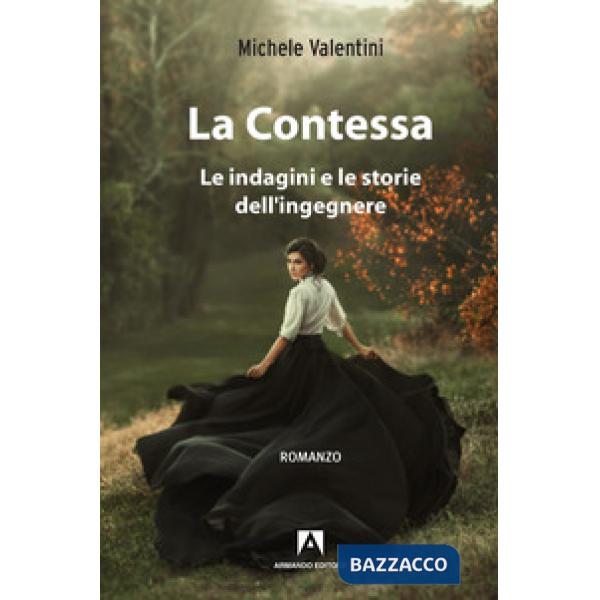 Contessa. Le indagini e le storie dell'ingegnere (La)