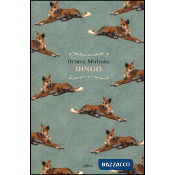 Dingo