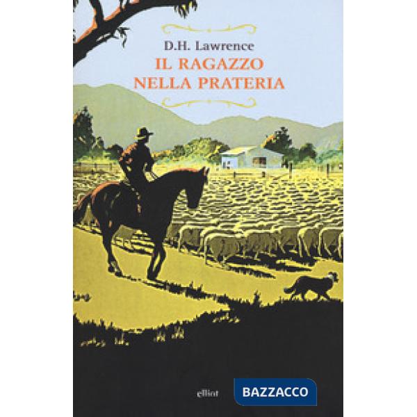 Ragazzo nella prateria (Il)