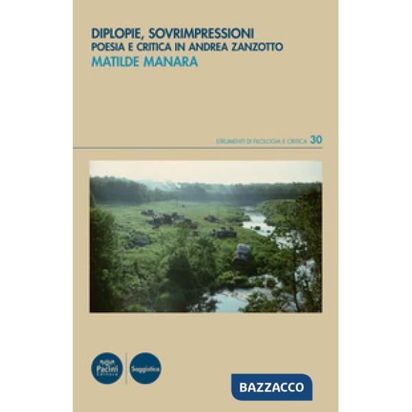 Diplopie, sovrimpressioni. Poesia e critica in Andrea Zanzotto