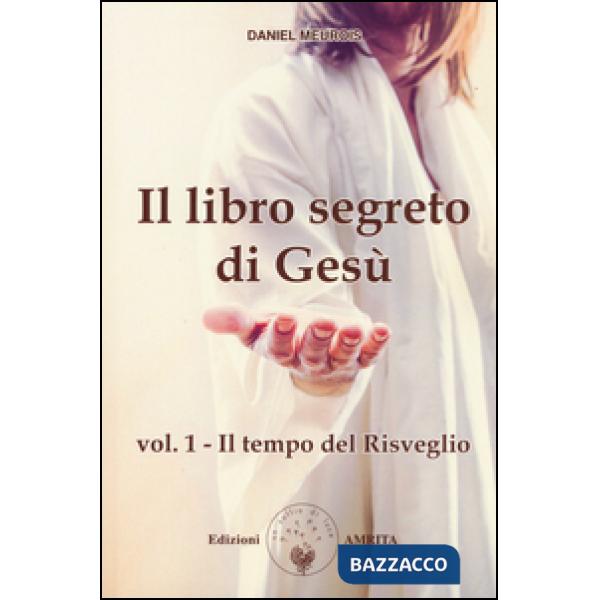Libro segreto di Gesù (Il). Vol. 1: Il tempo del risveglio