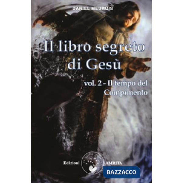 Libro segreto di Gesù (Il). Vol. 2: Il tempo del compimento