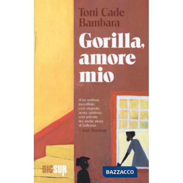 Gorilla, amore mio