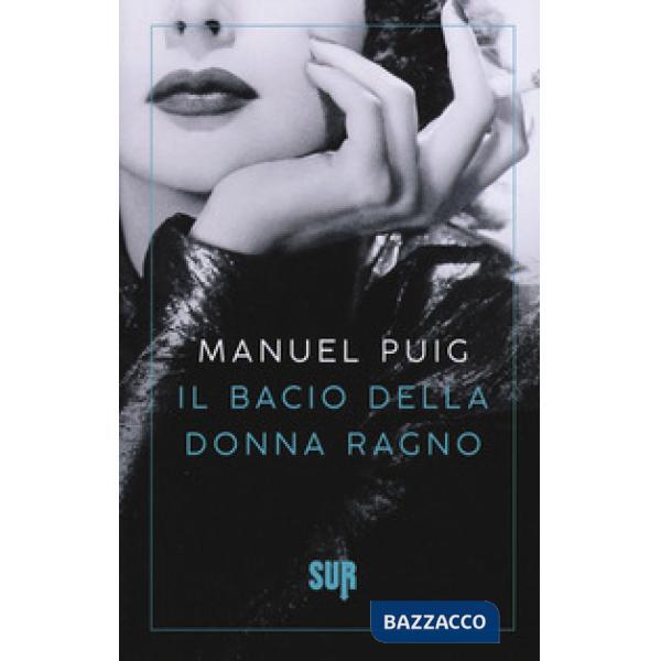 Bacio della donna ragno (Il)