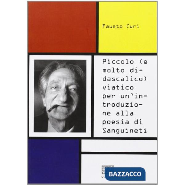Piccolo (e molto didascalico) viatico per un'introduzione alla poesia di Sanguinetti