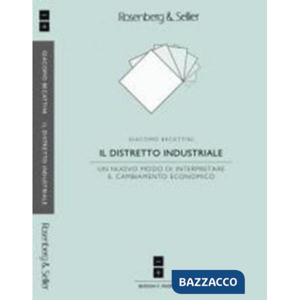 Distretto industriale (Il)