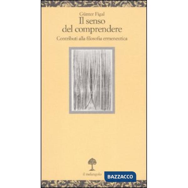 Senso del comprendere. Contributi alla filosofia ermeneutica (Il)