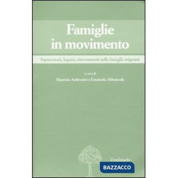 Famiglie in movimento. Separazioni, legami, ritrovamenti nelle famiglie migranti