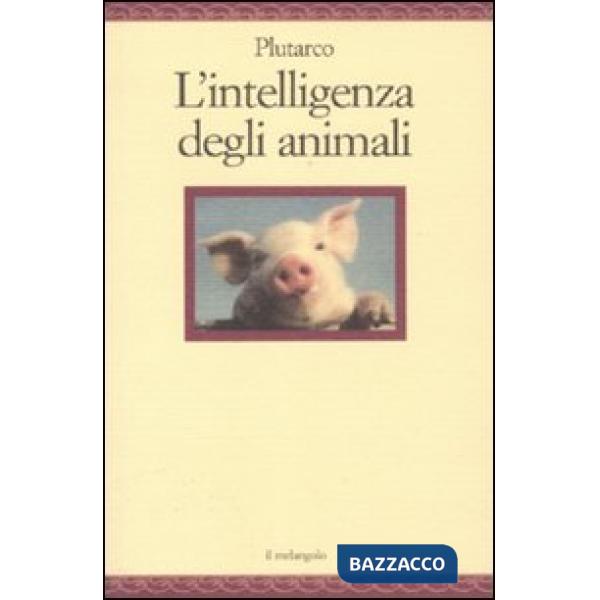 Intelligenza degli animali (L')