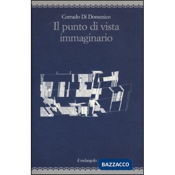 Punto di vista immaginario. Ediz. illustrata (Il)