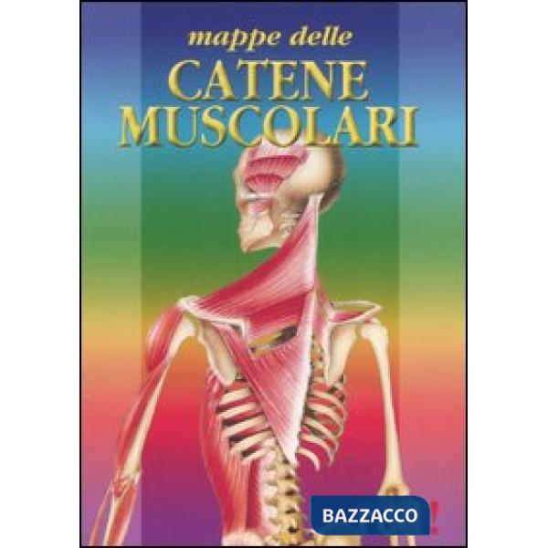 Mappe delle catene muscolari. Per osteopati, massaggiatori, medici. Ediz. illustrata