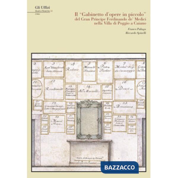 "Gabinetto d'opere in piccolo" del Gran Principe Ferdinando De' Medici nella Villa di Poggio a Caiano. Ediz. illustrata (Il)