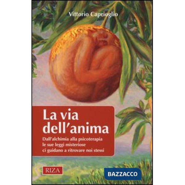 Via dell'anima. Dall'alchimia alla psicoterapia le sue leggi misteriose ci guidano a ritrovare noi stessi (La)