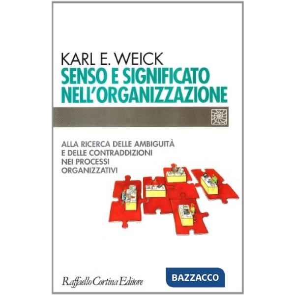 Senso e significato nell'organizzazione. Alla ricerca delle ambiguità e delle contraddizioni nei processi organizzativi
