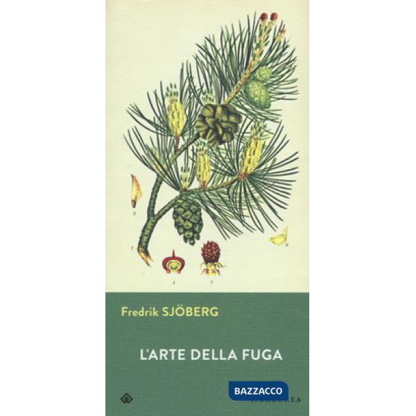 Arte della fuga (L')