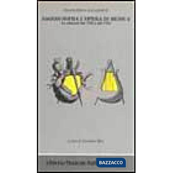 Saggio sopra l'opera in musica (rist. anast. Venezia, 1755-Livorno, 1763)