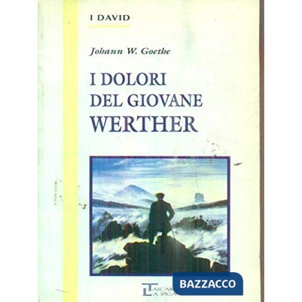 I DOLORI DEL GIOVANE WERTHER
