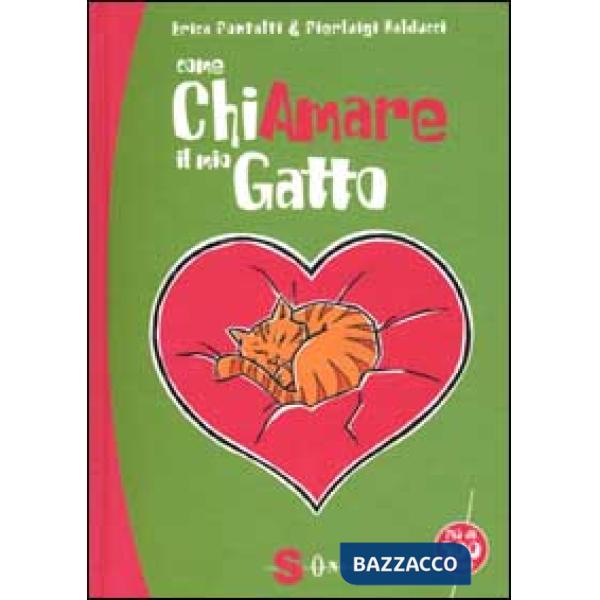Come chiamare il mio gatto