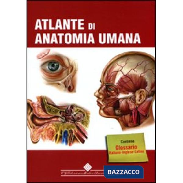 Atlante di anatomia umana. Ediz. illustrata