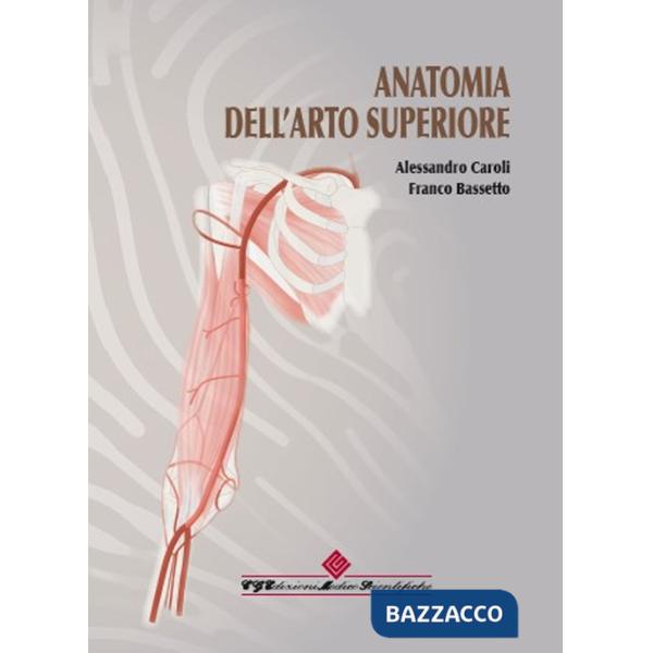 Anatomia dell'arto superiore