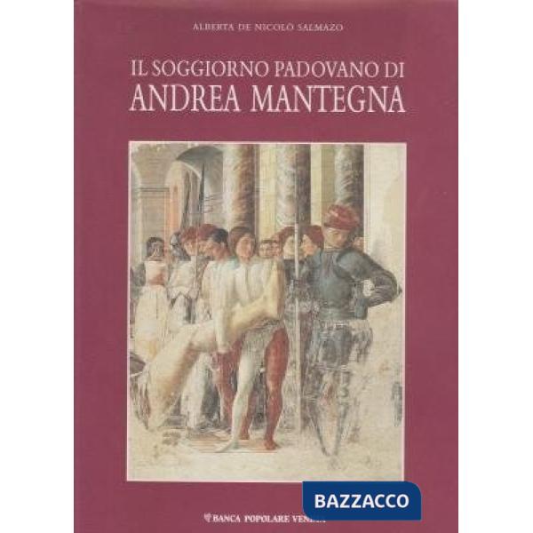Soggiorno padovano di Mantegna (Il)