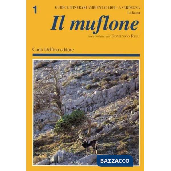 Muflone raccontato da Domenico Ruiu (Il)