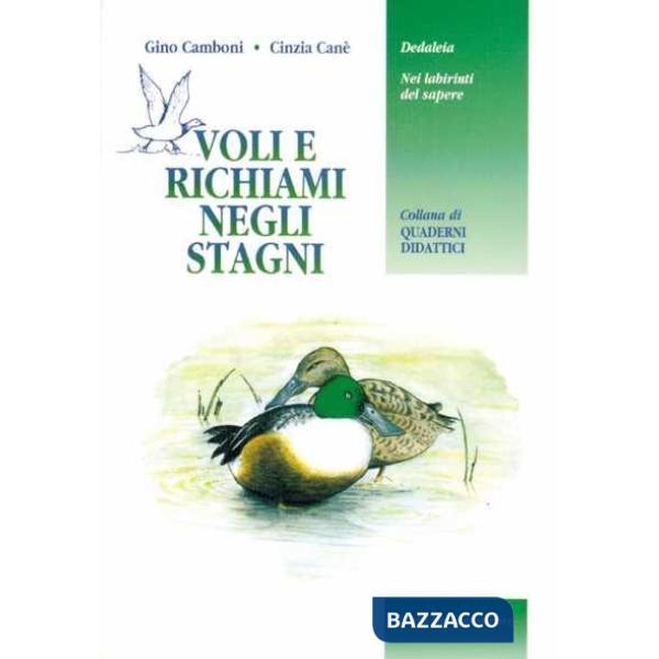 Voli e richiami negli stagni