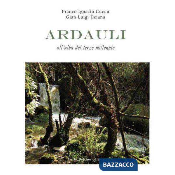Ardauli. All'alba del terzo millennio