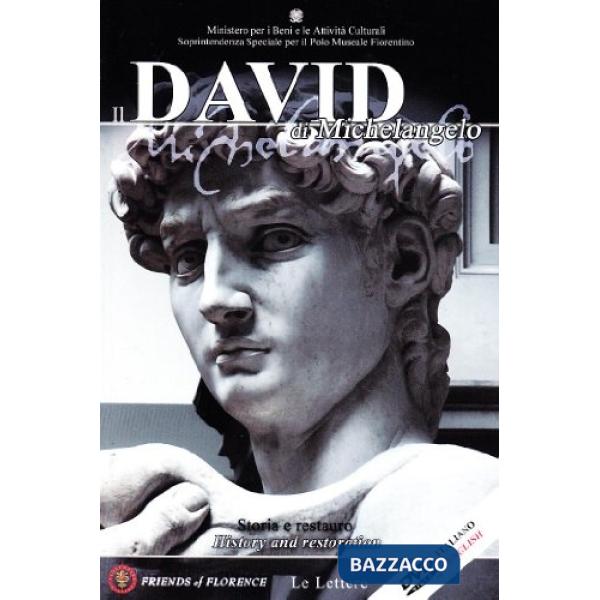 David di Michelangelo. Storia e restauro (Il)
