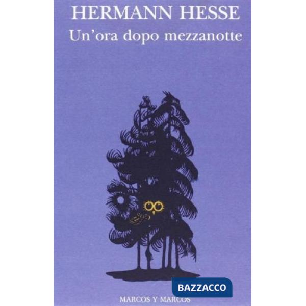 Ora dopo mezzanotte (Un')