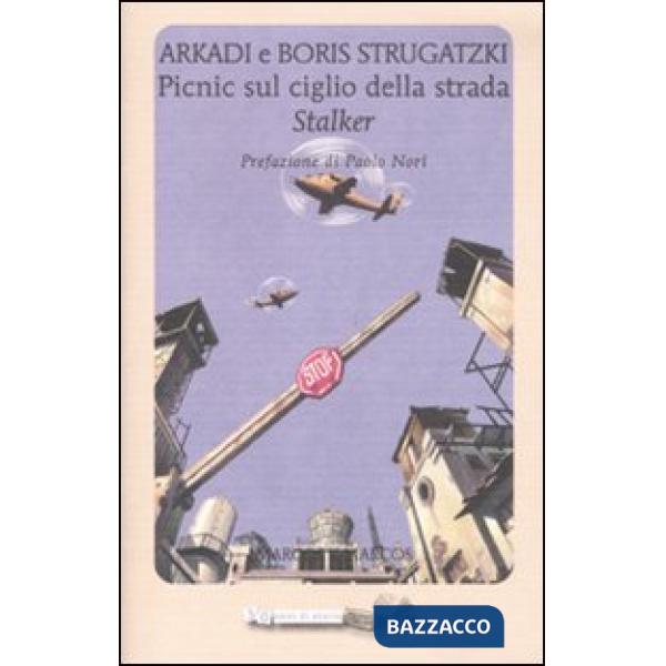 Picnic sul ciglio della strada. Stalker