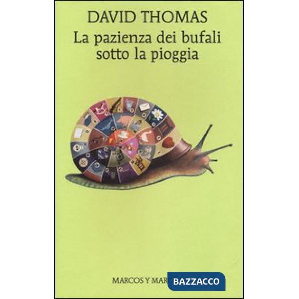 Pazienza dei bufali sotto la pioggia (La)