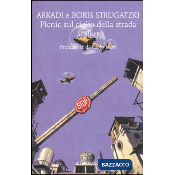 Picnic sul ciglio della strada. Stalker